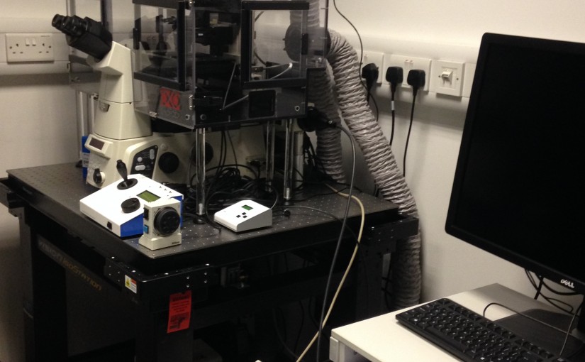WISB Microscopy Suite Now Operational