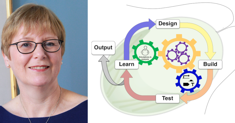 Alison Smith on 10/12/18: Riboswitches – Plug-and-play devices for synthetic biology approaches to metabolic engineering