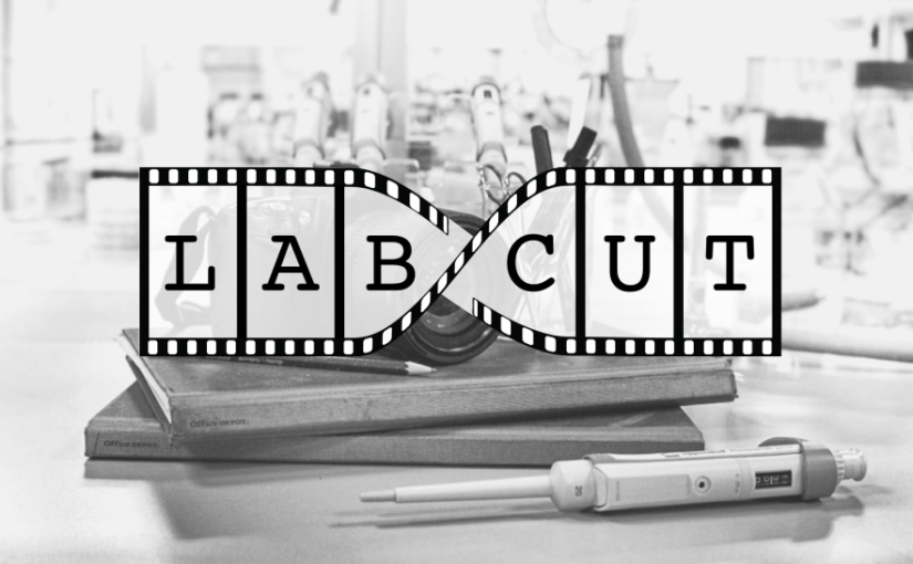 Videos from the first LabCut workshop